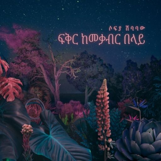 ፍቅር ከመቃብር በላይ - Feker Ke'mekaber Belay cover