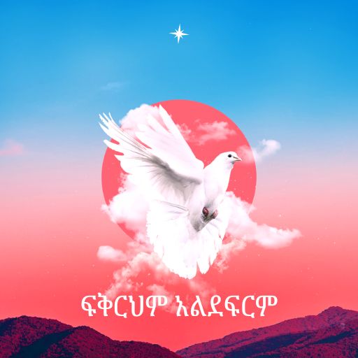 ፍቅርህም አልደፍርም - Fikrihin Aldefirim cover