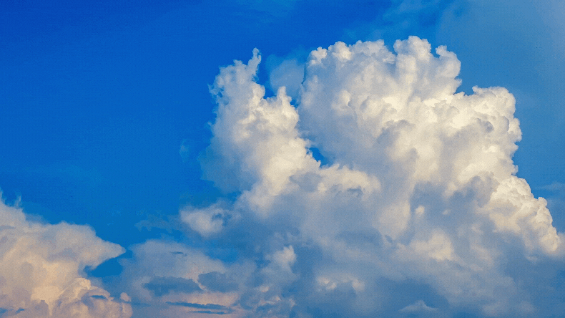 ኢየሱስ ትሻለኛለ