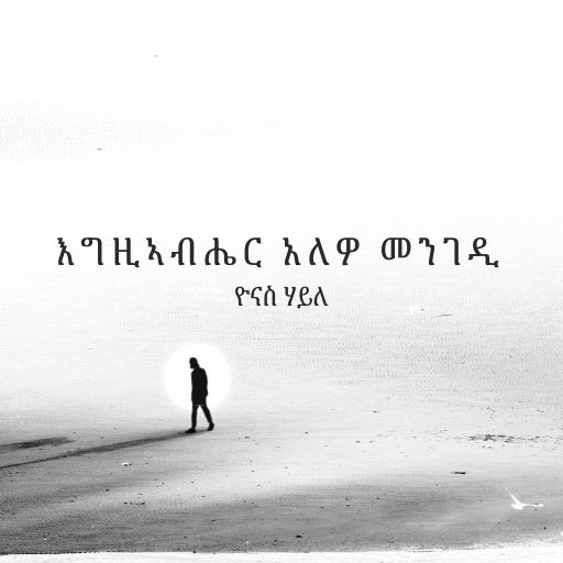 እግ/ር ኣለዎ መንገዲ - Egziabhier Alewo Mengedi Vol. 2 cover
