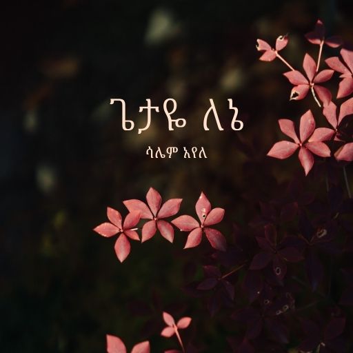 ጌታዬ ለኔ - Getaye Lene cover